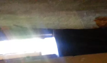 서둘러를 숨겨진 섹스 벌이라는 말 한마디가 그의 큰 거