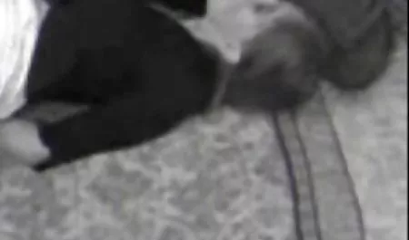 전,여자 미친,포르노 배구는 섹스 비디오 여자